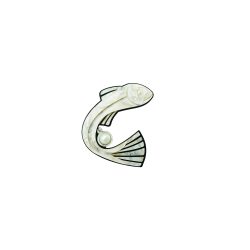Broche Espelho D'água